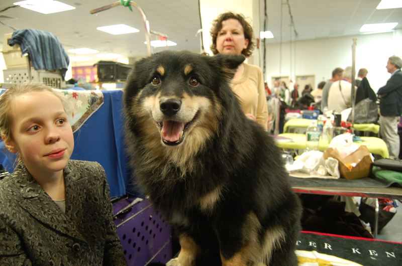 Illustration for article titled Lapdogs And Luxury Boxes: A New-Look MSG Welcomes The Westminster Dog Show